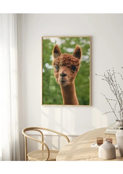 Kahverengi Lama Poster indirimleri