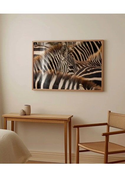 Zebra Deseni Poster fırsatları