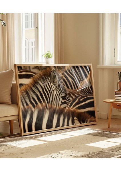 Zebra Deseni Poster indirimleri