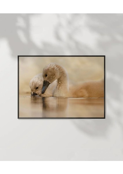 Yavru Ördekler Poster