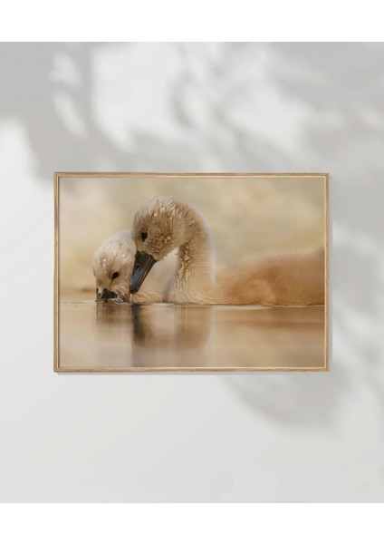 Yavru Ördekler Poster fırsatları