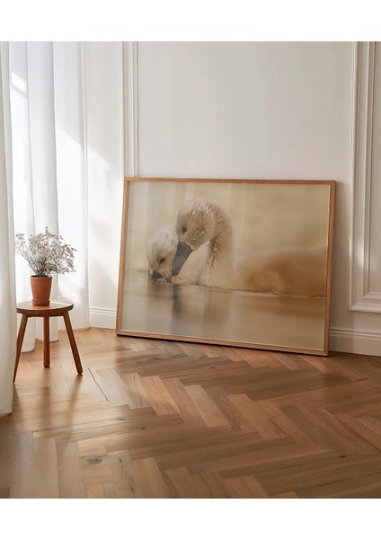 Yavru Ördekler Poster indirimleri