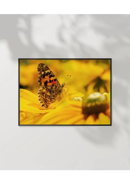 Ayçiçeği ve Kelebek Poster