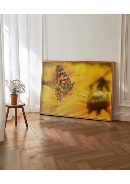 Ayçiçeği ve Kelebek Poster indirimleri