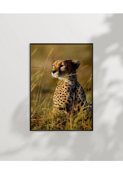 Çayırda Oturan Çita Poster