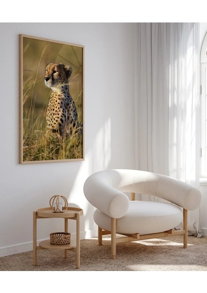 Çayırda Oturan Çita Poster fırsatları