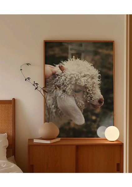 Sevimli Kuzu Poster fırsatları