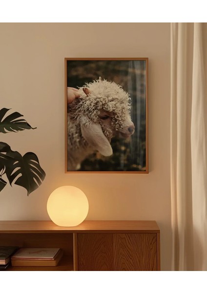 Sevimli Kuzu Poster indirimleri