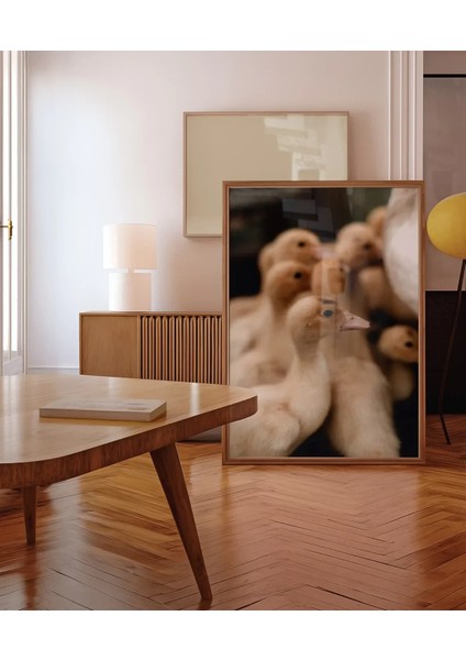 Civcivler Grubu Poster indirimleri