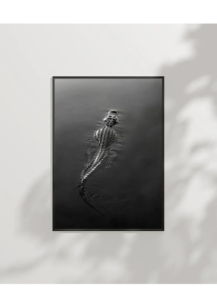 1. Suda Yüzen Timsah Poster