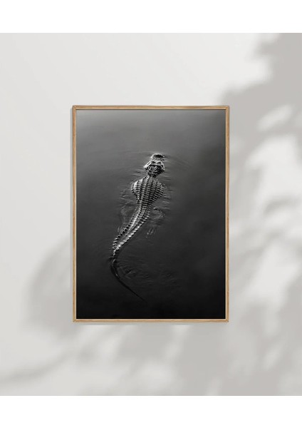 1. Suda Yüzen Timsah Poster modelleri