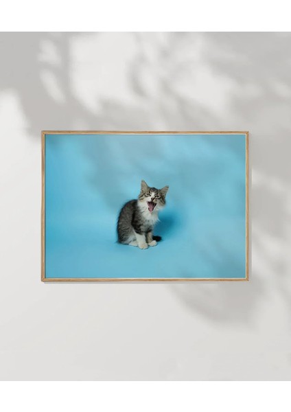 Mavi Fon Üzerinde Gri Kedi Poster modelleri