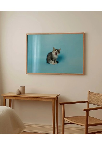 Mavi Fon Üzerinde Gri Kedi Poster fırsatları