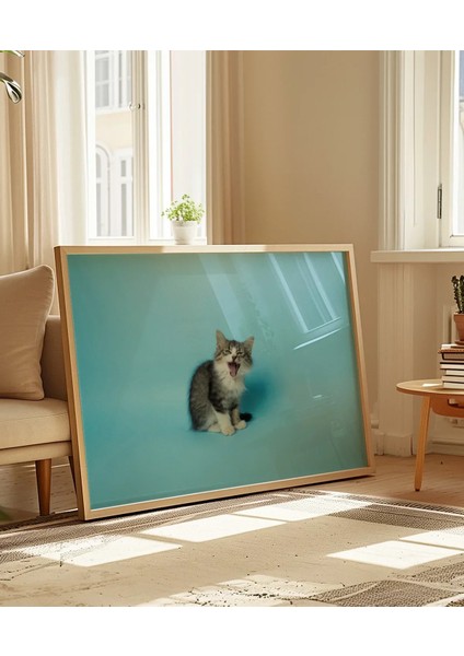Mavi Fon Üzerinde Gri Kedi Poster indirimleri