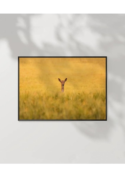 Altın Tarlada Geyik Poster