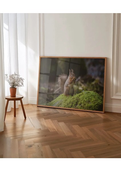 Sincap Doğada Poster indirimleri