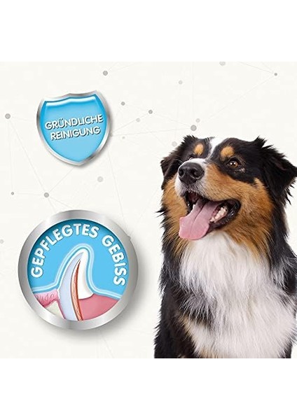 Beaphar Parmak Diş Fırçası, 2li fiyatları