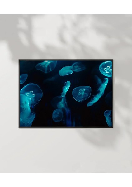 Deniz Hayvanları Poster