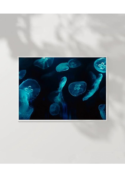 Deniz Hayvanları Poster modelleri