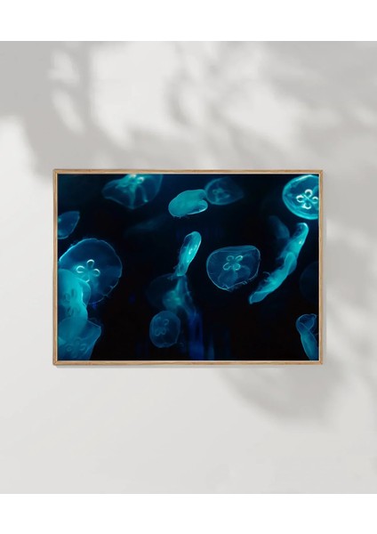 Deniz Hayvanları Poster fırsatları