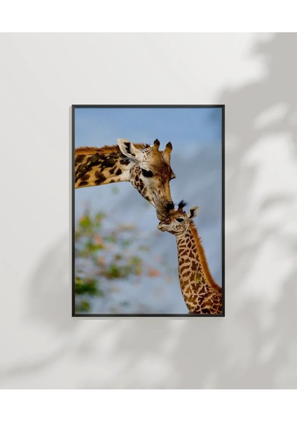 Zürafa Anne ve Yavru Poster