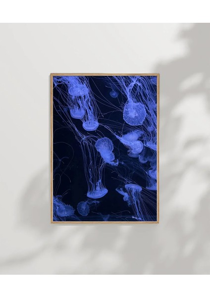 Mavi Denizanası Poster modelleri