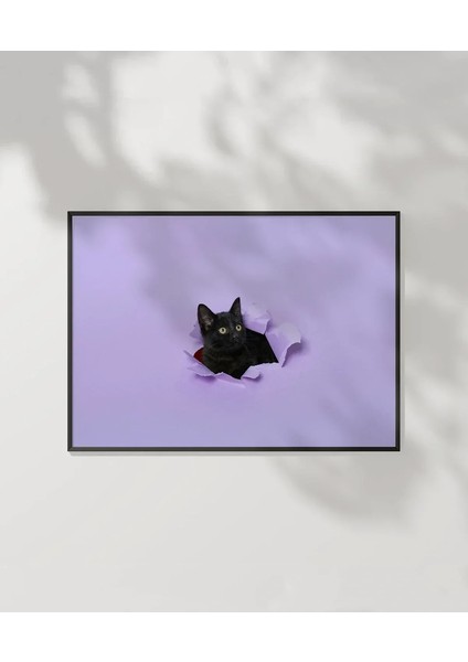 Mor Fon Üzerinde Siyah Kedi Poster
