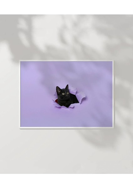 Mor Fon Üzerinde Siyah Kedi Poster modelleri