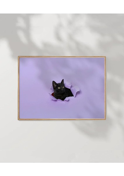 Mor Fon Üzerinde Siyah Kedi Poster fırsatları