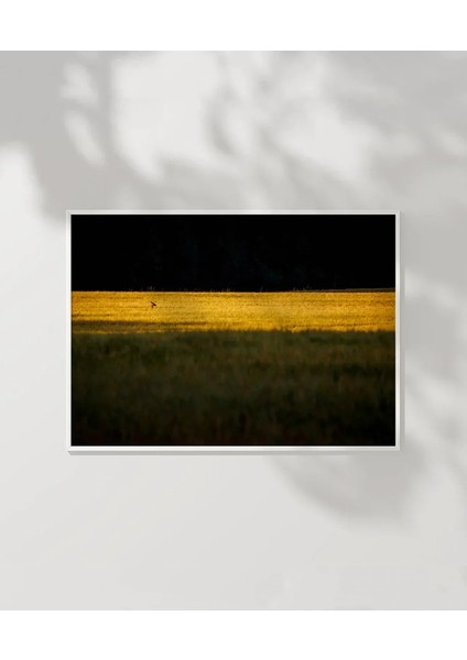 Altın Tarlada Kuş Poster modelleri