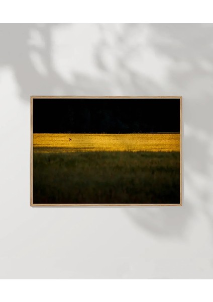 Altın Tarlada Kuş Poster fırsatları