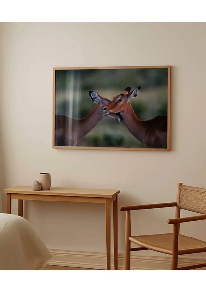 Sevgi Dolu Ceylanlar Poster modelleri