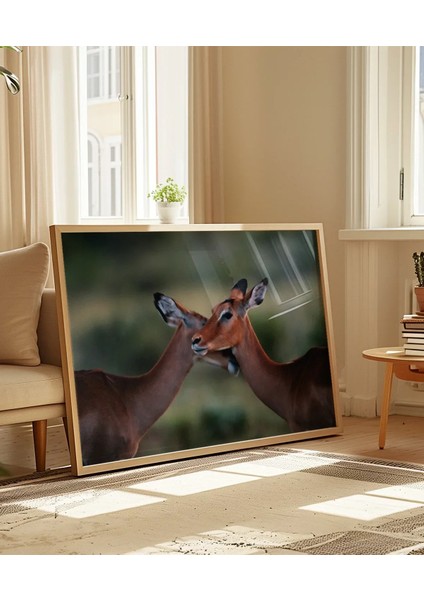 Sevgi Dolu Ceylanlar Poster indirimleri