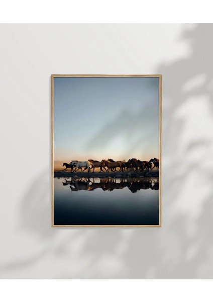 Gölde Su Içen Zebralar Poster modelleri