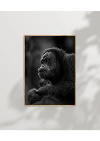 Düşünen Maymun Poster modelleri