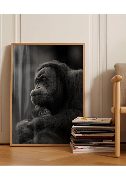 Düşünen Maymun Poster fırsatları