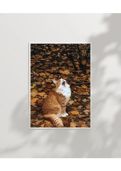 1. Sonbaharda Kedi Poster modelleri