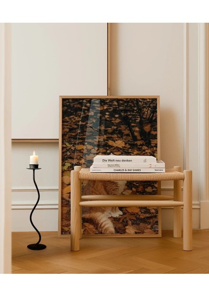 1. Sonbaharda Kedi Poster indirimleri