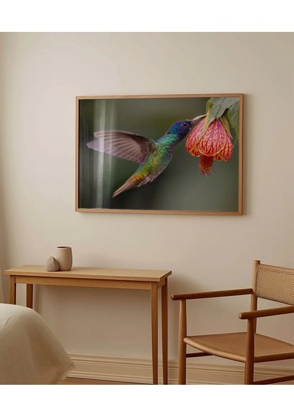 1. Nektar Içindeki Hummingbird Poster fırsatları