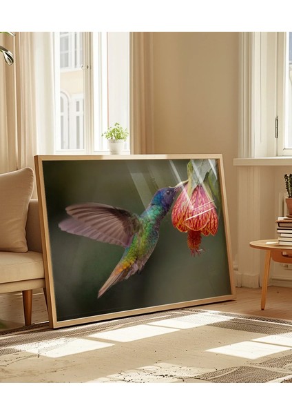 1. Nektar Içindeki Hummingbird Poster indirimleri