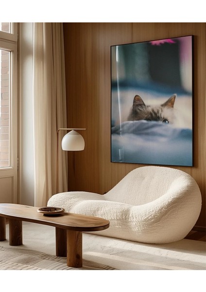 Battaniye Altındaki Kedi Poster indirimleri