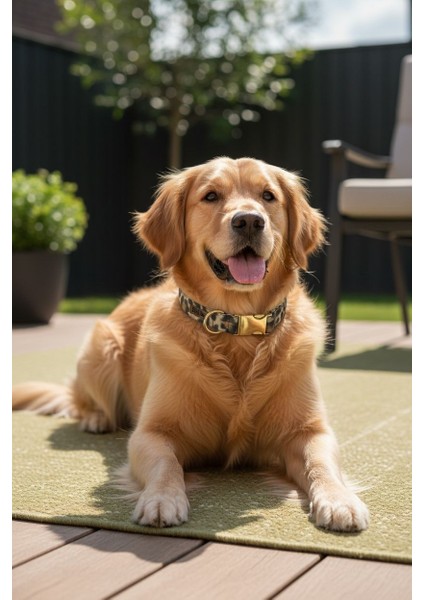 Leopar Köpek Boyun Tasması -Charm Hediyeli fiyatları