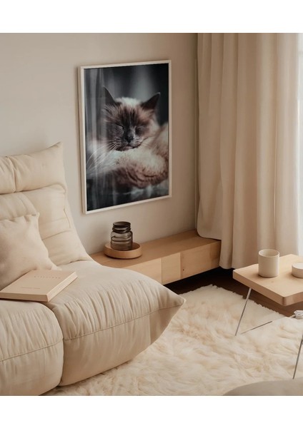 Uyuyan Kedi Poster modelleri