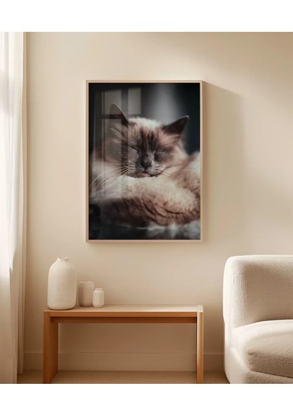 Uyuyan Kedi Poster fırsatları
