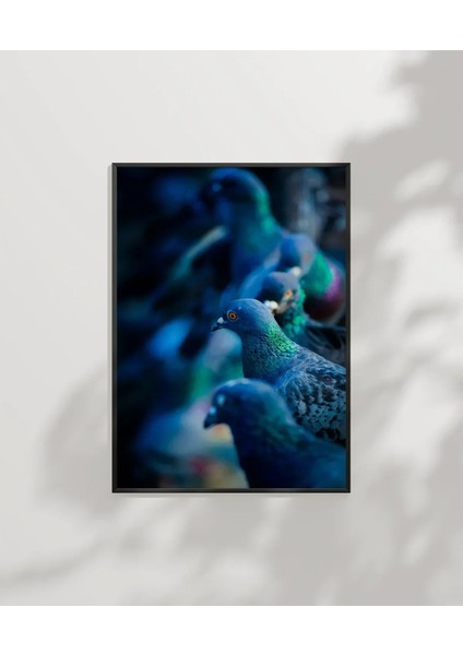 Mavi Güvercinler Poster