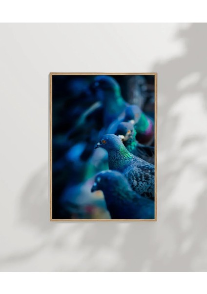 Mavi Güvercinler Poster modelleri