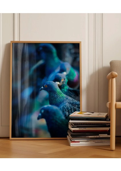Mavi Güvercinler Poster fırsatları