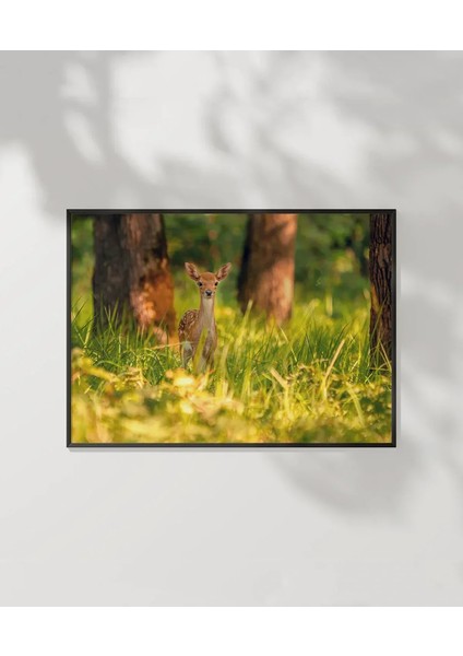 Yeşillikler Arasında Geyik Poster