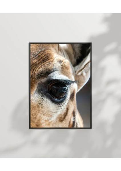 Zürafa Gözü Detay Poster