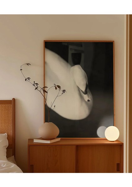 Zarif Kuğu Poster fırsatları